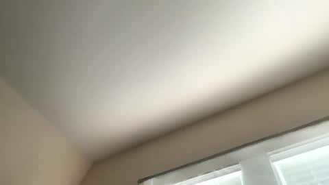 Dynasty online show from 05/26/26, 04:14