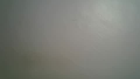 Queen online show from 03/15/26, 08:37