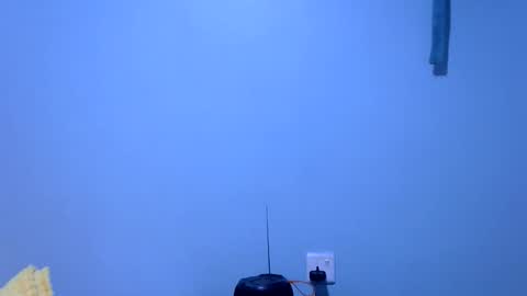 ebonybloom01 online show from 11/26/25, 05:36