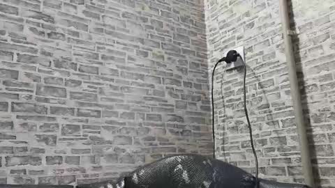 edithmanning online show from 02/10/25, 12:29