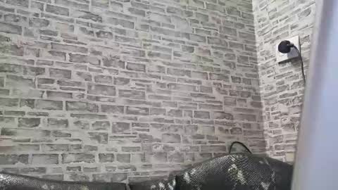 edithmanning online show from 02/18/25, 01:55