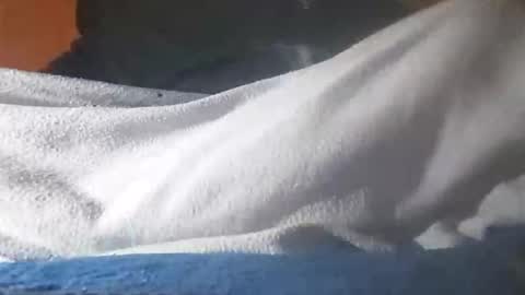 Davide online show from 11/12/25, 06:36