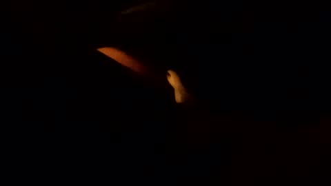 edmore1215 online show from 02/10/25, 05:36