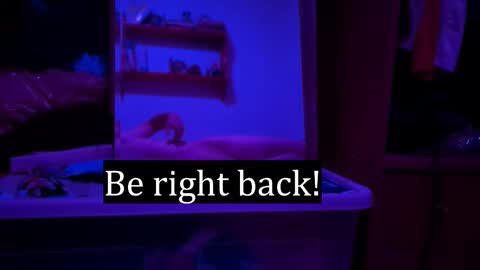 Snapshot of edwarh_01 chatting on 02/07/26, 12:25 Alex online show from 02/07/26, 12:25