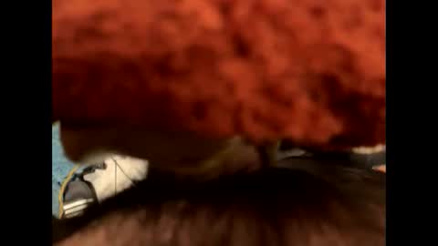 ehdgher online show from 11/06/25, 09:21