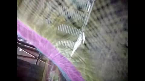 Snapshot of eirma7991 chatting on 02/25/26, 10:30 eirma7991 online show from 02/25/26, 10:30