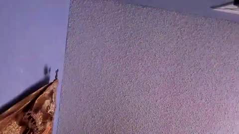 Santos online show from 02/07/25, 12:53