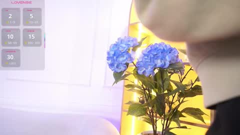 Snapshot of elasummeer chatting on 11/19/25, 11:43 Elasummeer online show from 11/19/25, 11:43