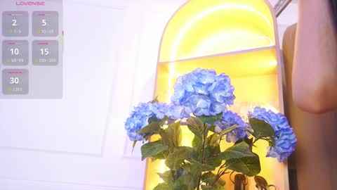 Snapshot of elasummeer chatting on 11/29/25, 11:57 Elasummeer online show from 11/29/25, 11:57