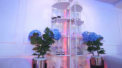 Elasummeer online show from 02/13/26, 11:50