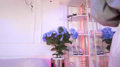 Elasummeer online show from 02/19/26, 11:50