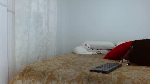 elektra online show from 10/30/25, 04:08