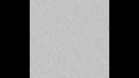 Snapshot of elephant_titus chatting on 01/20/25, 11:02 elephant_titus online show from 01/20/25, 11:02