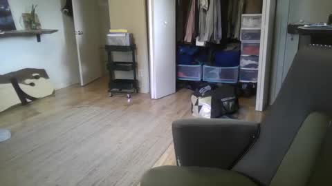 fox online show from 12/26/24, 04:58