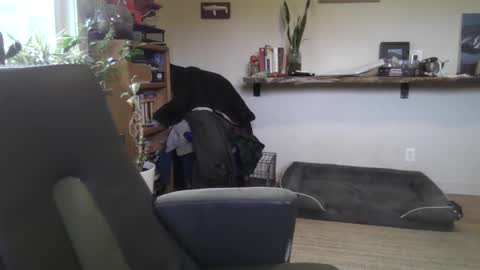 fox online show from 02/22/26, 07:01