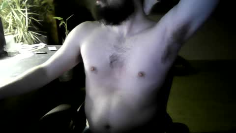 fox online show from 04/04/26, 04:44