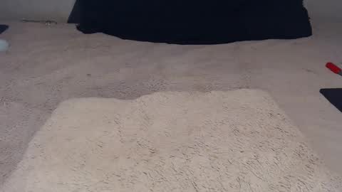 elgsslt online show from 11/23/25, 12:16