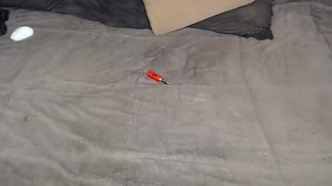 elgsslt online show from 03/11/26, 12:22