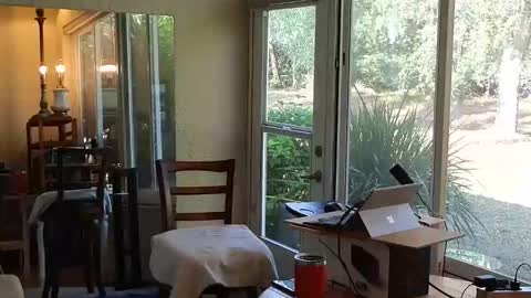 eliberator online show from 12/21/25, 04:58