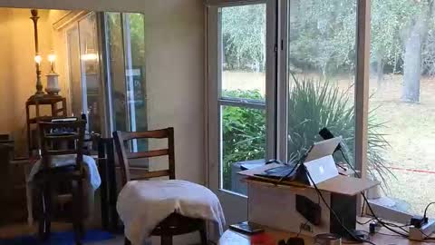 eliberator online show from 01/07/26, 06:43