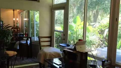 eliberator online show from 06/28/26, 06:36
