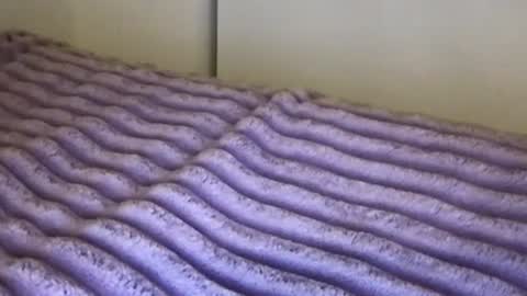 Snapshot of eliterd chatting on 11/13/25, 03:16 eliterd online show from 11/13/25, 03:16