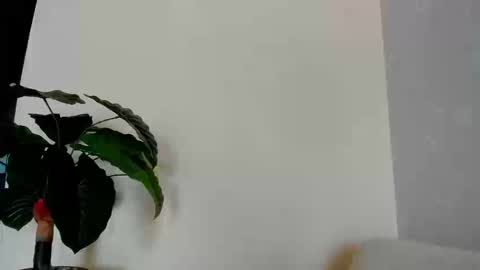 My name is ElizaPVT is open online show from 09/08/25, 09:25