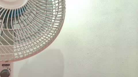 elizabetth_roman online show from 04/22/26, 08:32