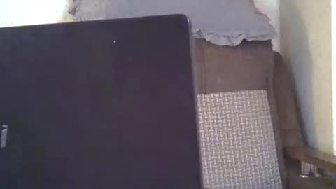 ellajohnsonx online show from 02/01/26, 07:45