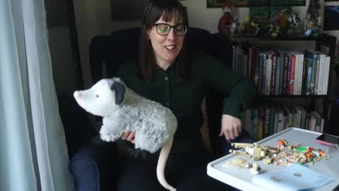 Elly Naomi online show from 01/31/25, 04:38