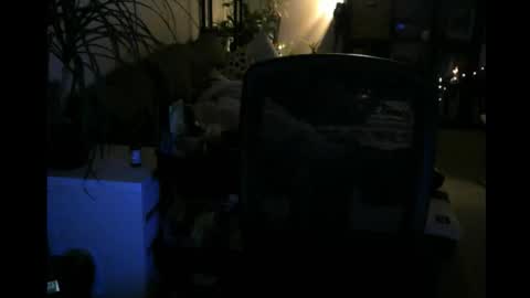 ElMetaTeDa online show from 03/09/26, 02:48