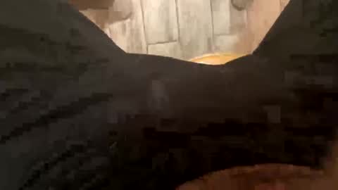 El Parador online show from 12/08/24, 07:58