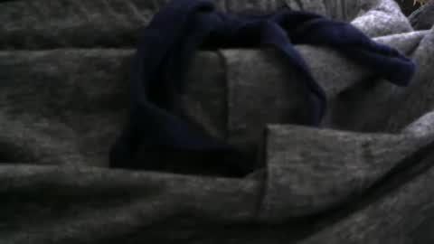 El Parador online show from 12/27/24, 09:32