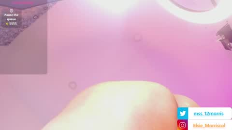 elsiemorrison online show from 03/31/26, 02:06