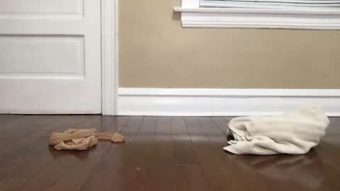 Snapshot of eltruerey chatting on 10/15/25, 04:56 Bi Bro online show from 10/15/25, 04:56