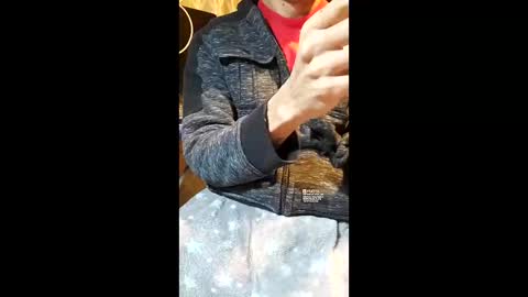 elvergg1 online show from 01/19/26, 07:12