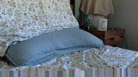 elviscash online show from 04/09/26, 01:16