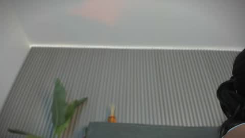 emelie_89 online show from 06/03/26, 11:35