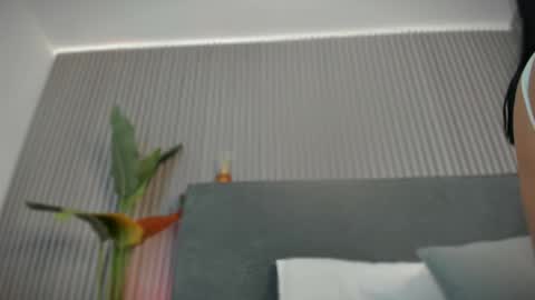 Snapshot of emelie_89 chatting on 06/04/26, 11:38 emelie_89 online show from 06/04/26, 11:38