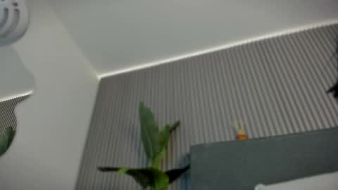 Snapshot of emelie_89 chatting on 06/06/26, 11:48 emelie_89 online show from 06/06/26, 11:48