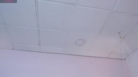 Danna online show from 02/19/26, 04:19