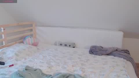 Snapshot of emerald_kittycat chatting on 11/22/25, 01:54 just me online show from 11/22/25, 01:54