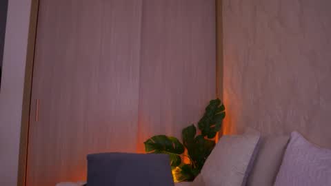    online show from 09/13/25, 11:43