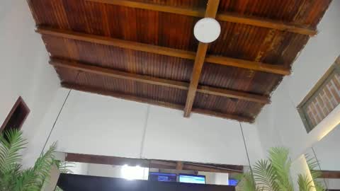 Emily  online show from 02/26/26, 10:58