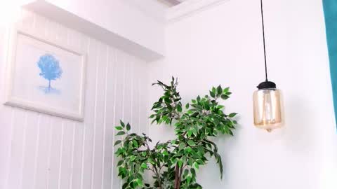 Emily online show from 03/03/26, 08:04