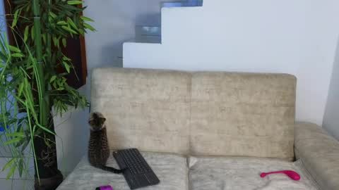 Emma Blue  modelo independiente online show from 10/20/25, 03:29