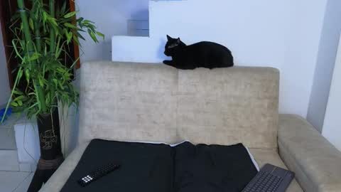 Emma Blue  modelo independiente online show from 03/26/26, 03:12