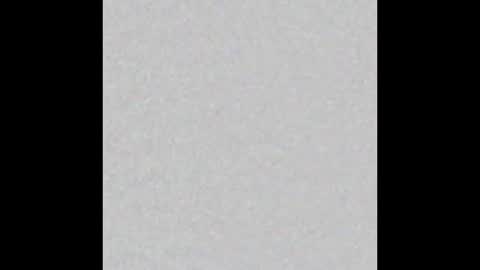 Emily online show from 10/13/25, 02:44