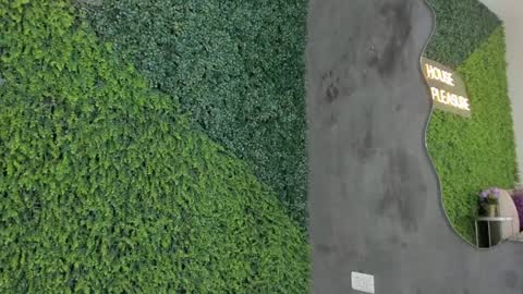 Emmiily online show from 01/31/25, 11:13