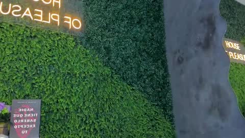 Emmiily online show from 02/11/25, 11:01